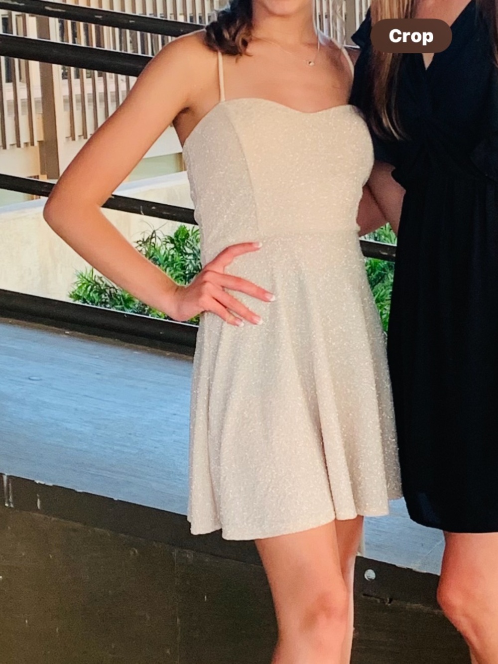 Windsor Short Sparkly dress